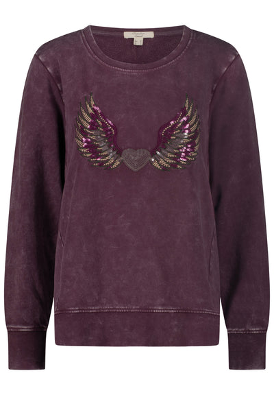 SNOW WASHED SWEATSHIRT WITH EGGPLANT STRASS WINGS